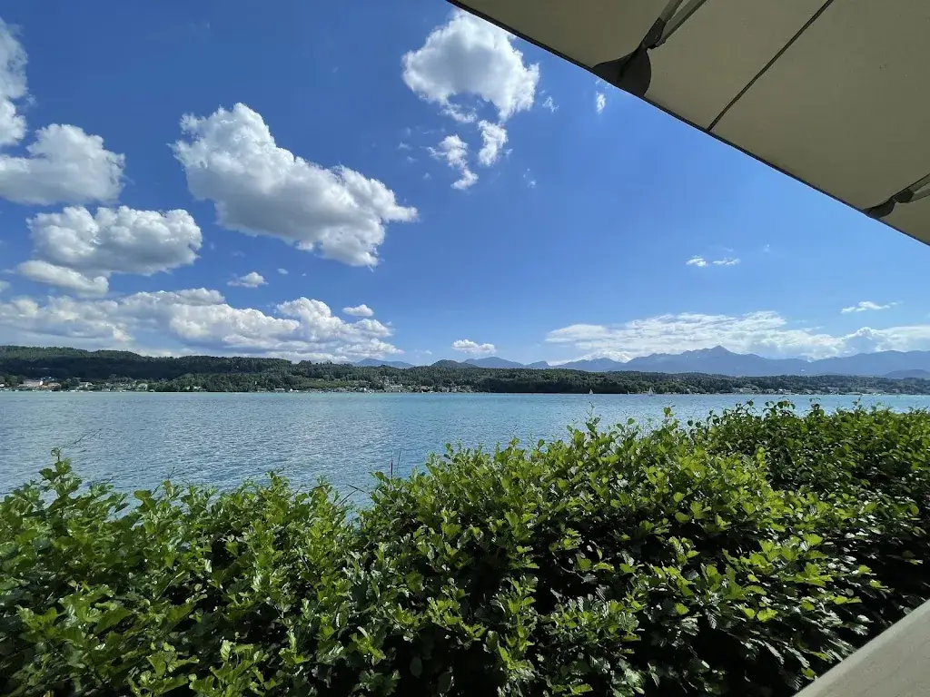 Norbert_Electric Garden_Techelsberg_review