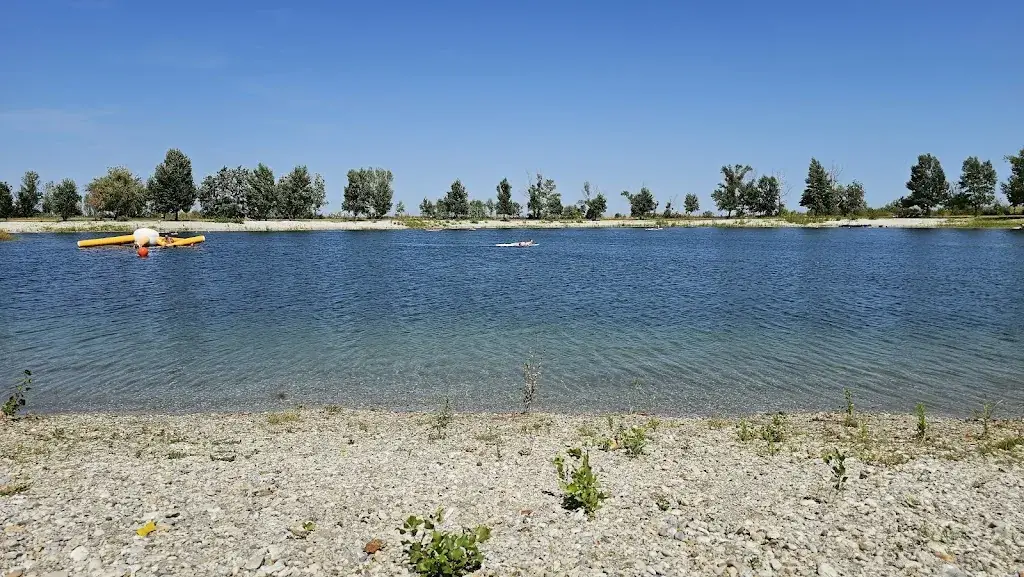 Borax Borax_Seebar_Apetlon_avis