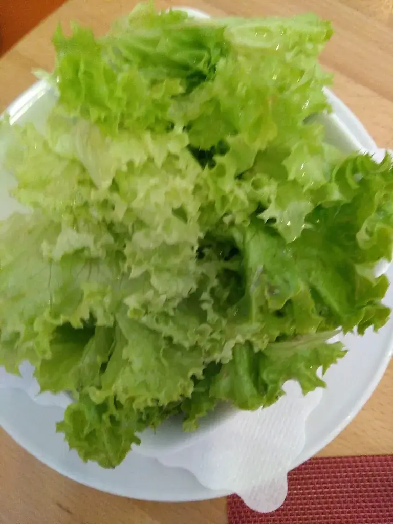 Menu_HAMKUMST DAS WIRTSHAUS*CAFÉ_Altenmarkt an der Triesting_image_6