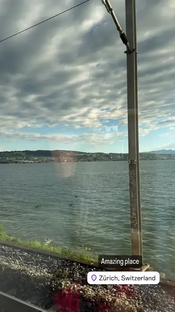 Mansour Mansouri_Adler Altendorf_Altendorf_avis