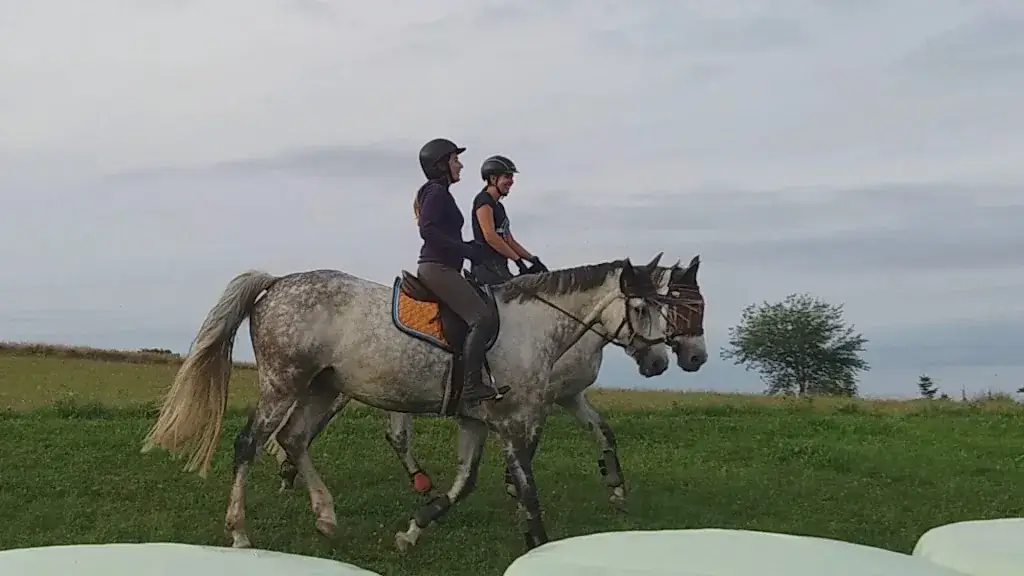 Gasthaus Wagner_Arbesbach_slider_image_1