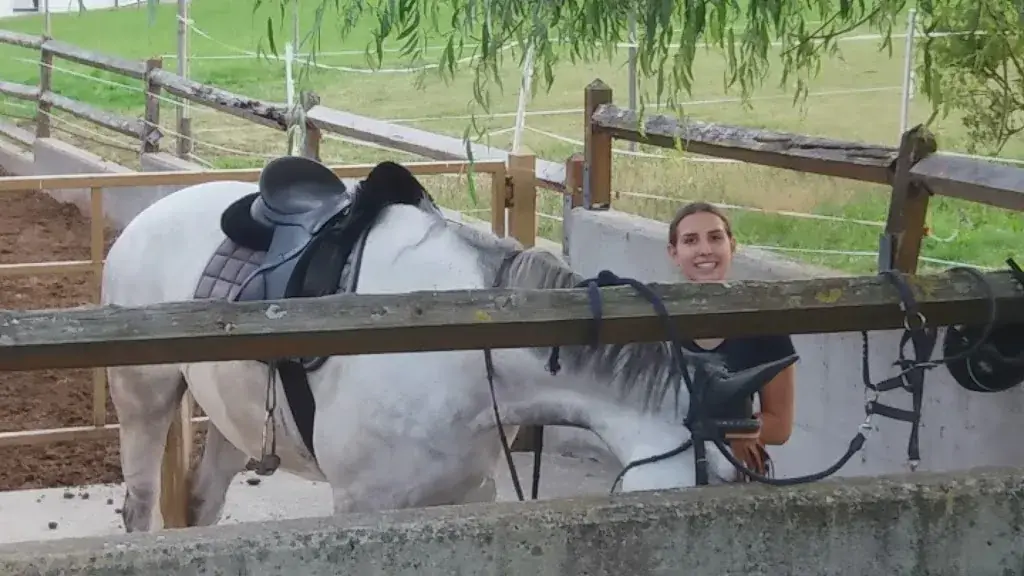 Gasthaus Wagner_Arbesbach_slider_image_2