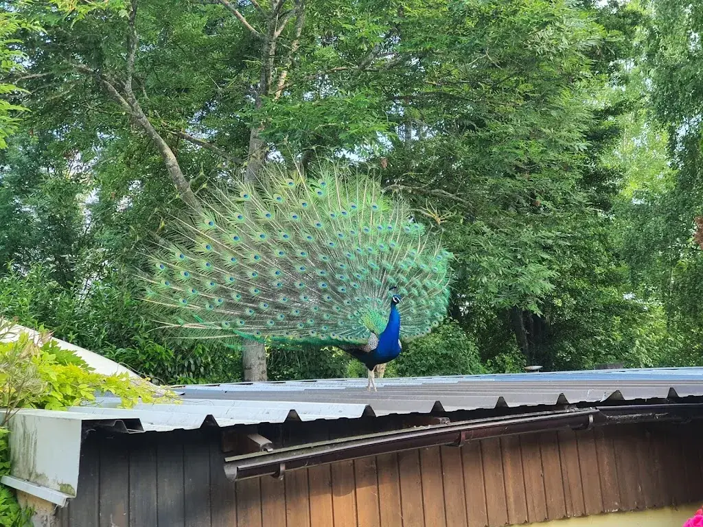 Alice Bruckner_Gasthaus Edelmühle_Edelstal_review