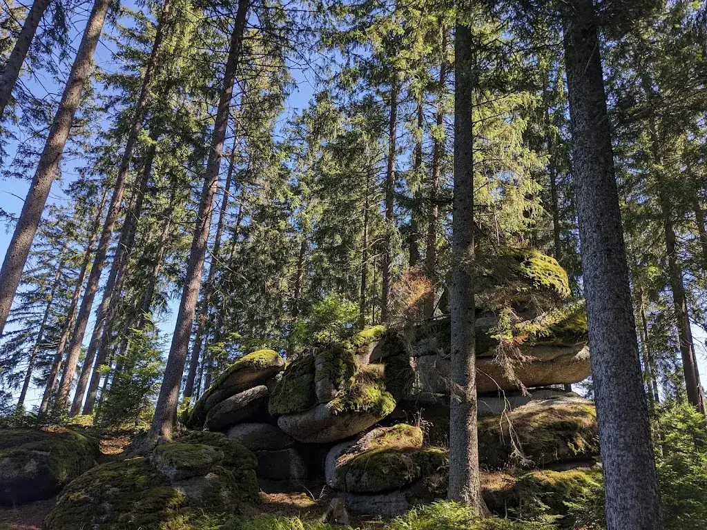 Michael Fischer_Meloner Au_Altmelon_recensione