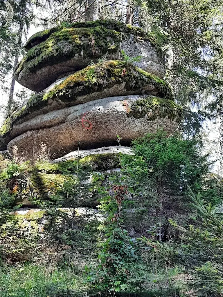 Rosemarie Dorrer_Meloner Au_Altmelon_recensione