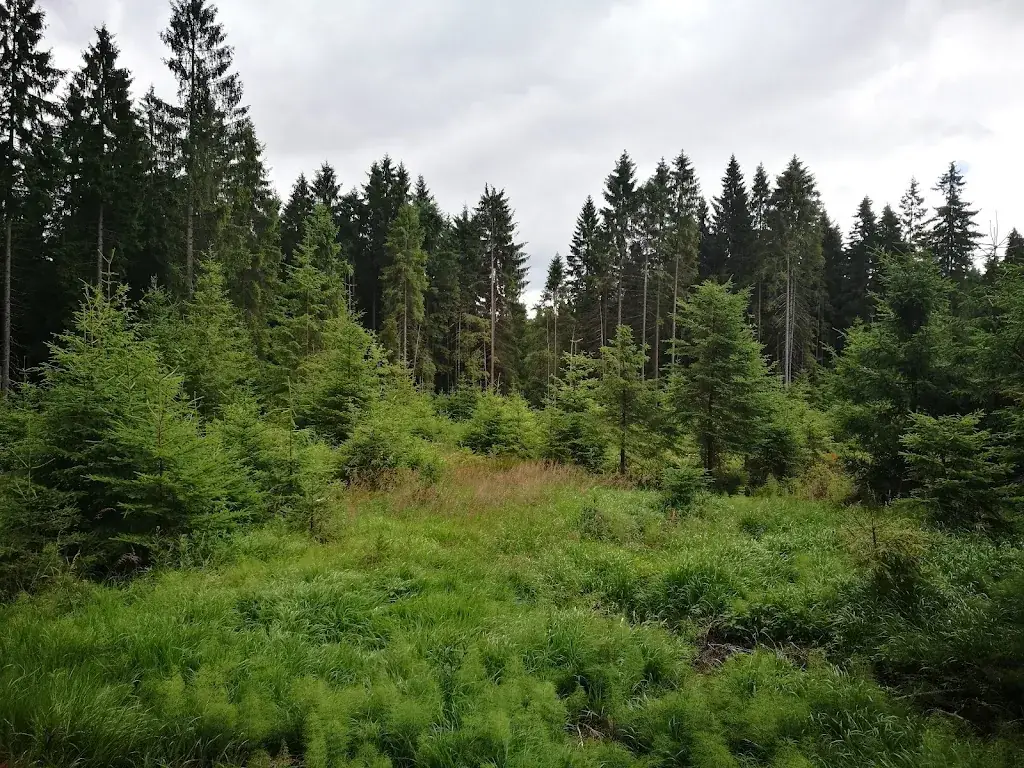 Meloner Au_Altmelon_slider_image_2