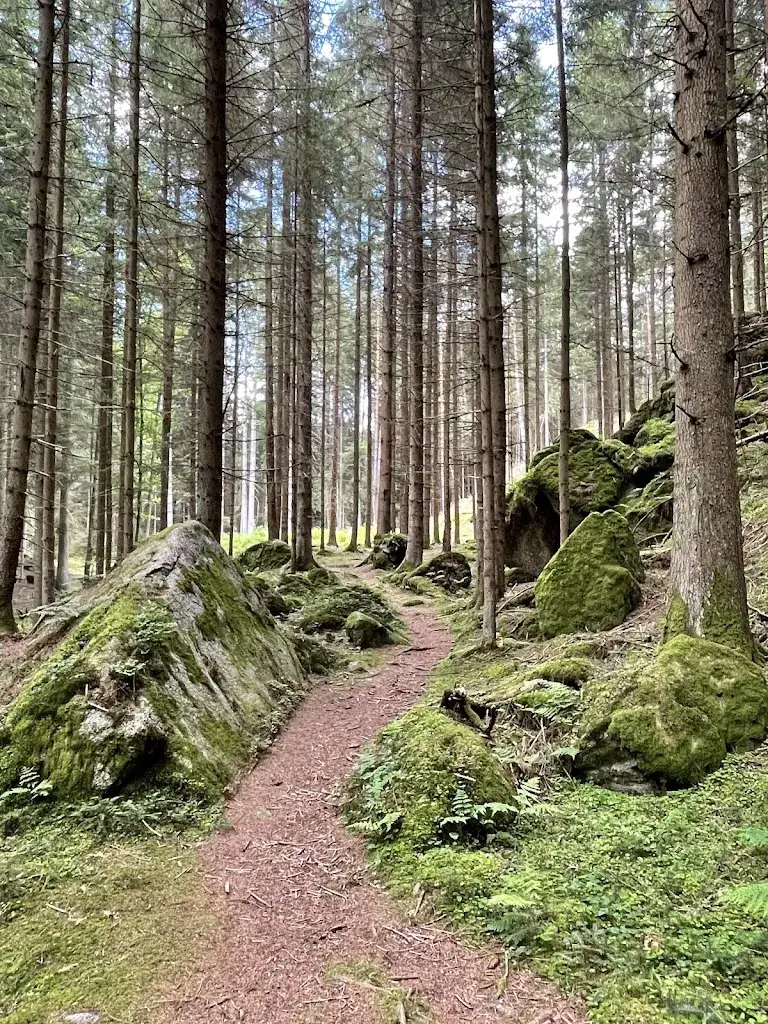 Andrea Sdl_Hotel-Restaurant Schwarzalm_Altmelon_review