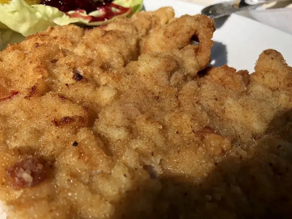 Menu_Gasthaus Familie Zarl_Amstetten_immagine_8