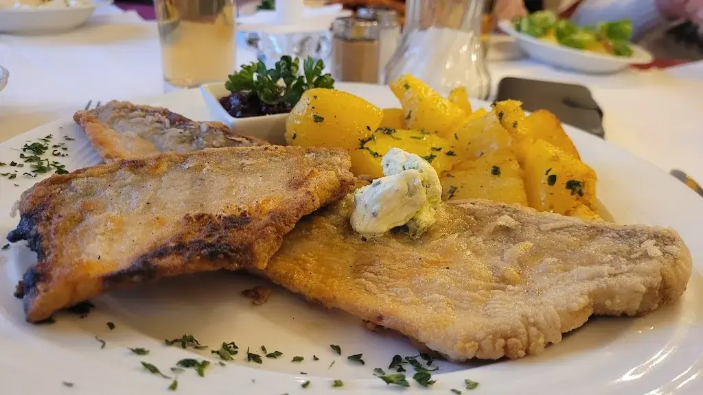 Menu_Gasthaus Pension Baumgartner_Aspang Markt_immagine_4