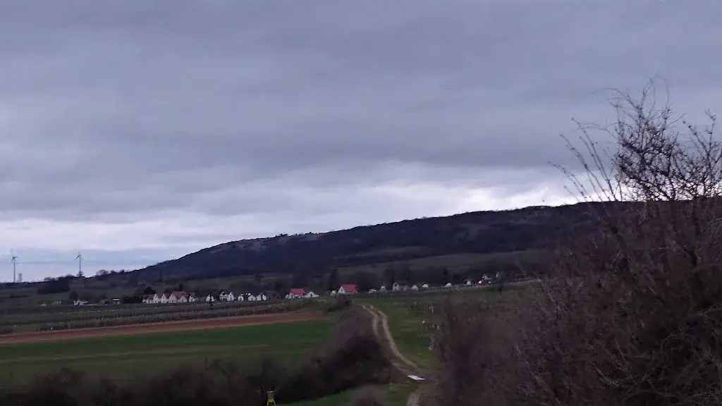 Carnuntum Heurigen_Edelstal_slider_image_3