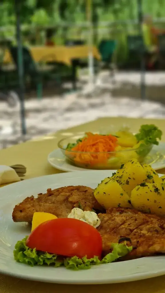 Menu_Gasthaus Binder Orth an der Donau_Andlersdorf_image_7