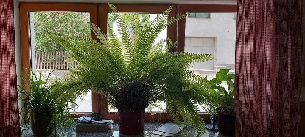 Gottfried Grossinger_Gasthaus Gerhard Teuschl_Bad Traunstein_avis