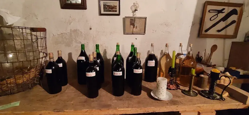 Dušan Borisavljević_Tunner Heuriger Galerie_Edelstal_avis