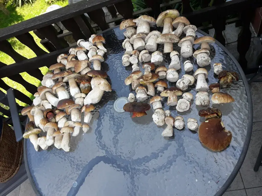 Menu_Café-Restaurant Sabine_Bad Erlach_image_2