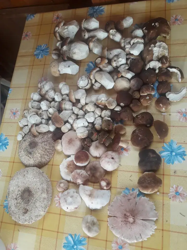 Menu_Café-Restaurant Sabine_Bad Erlach_image_4