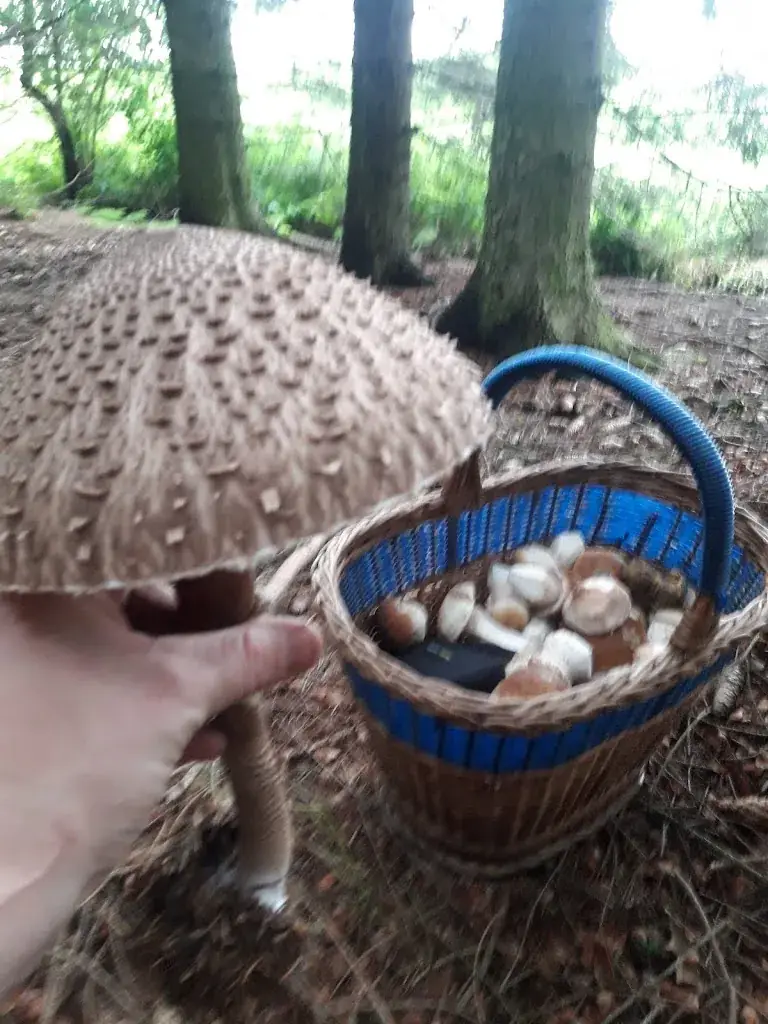 Menu_Café-Restaurant Sabine_Bad Erlach_image_6