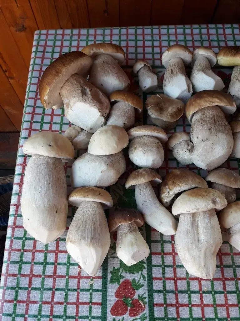 Menu_Café-Restaurant Sabine_Bad Erlach_image_7