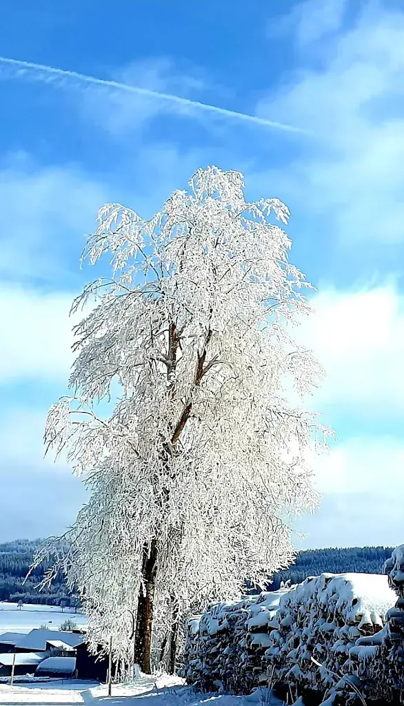 Corinne Wandl_Einkehrstube Wackelstein_Bärnkopf_recensione