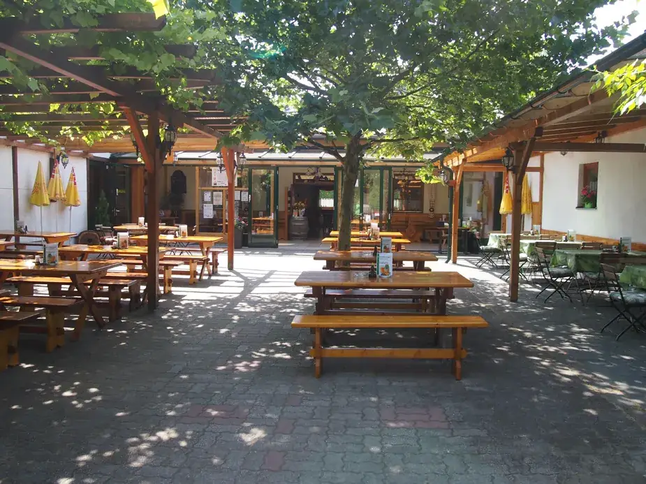 Hofstadlheuriger Weinstube Goldfuß_Bad Fischau_slider_image_3