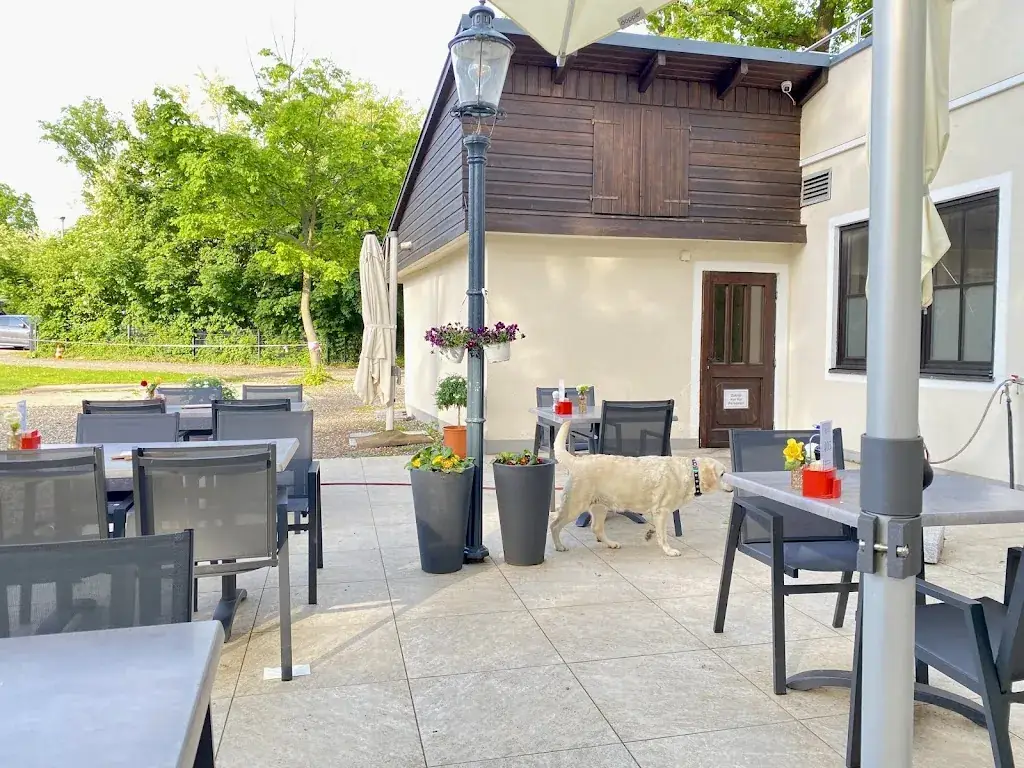 Gasthaus Gamshöhe ristorante a Bisamberg