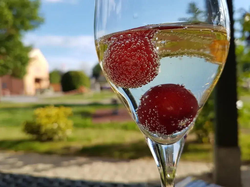 Menu_JUFA Hotel Fürstenfeld_Eltendorf_immagine_5