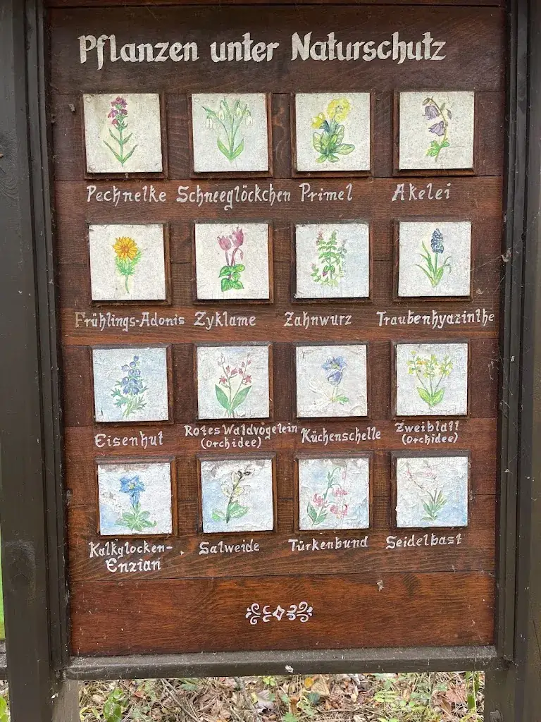 Menu_Waldhütte Guglzipf_Berndorf_immagine_2