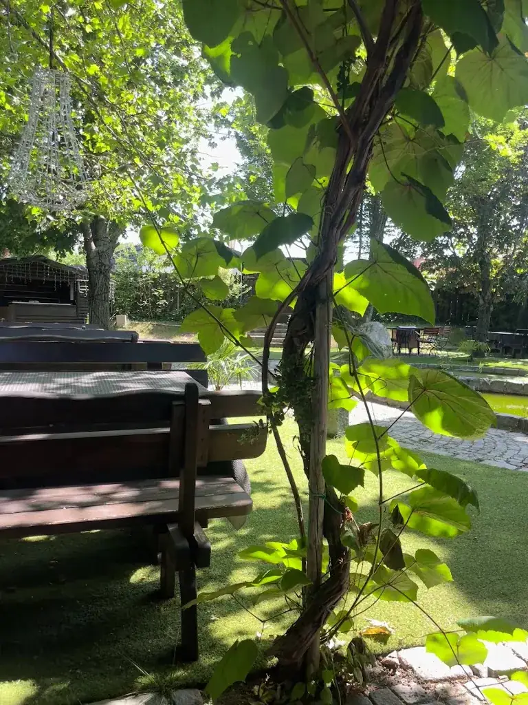 Ivanka_Mirage_Bad Vöslau_avis