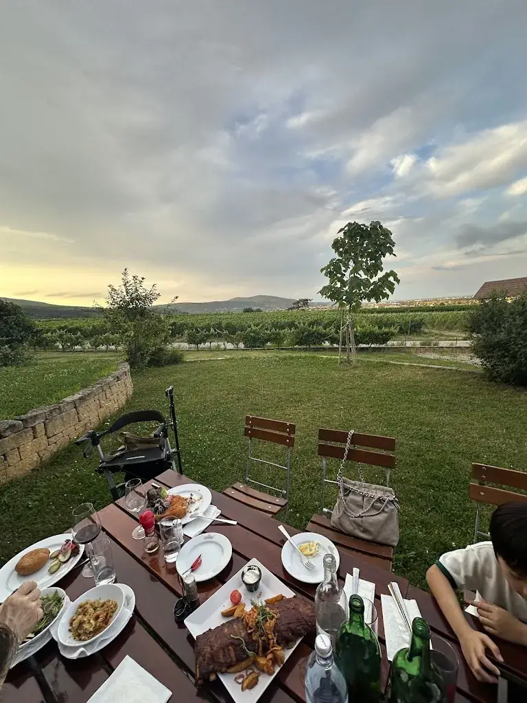 Hong Anh Pham_Weingut Schlossberg_Bad Vöslau_recensione