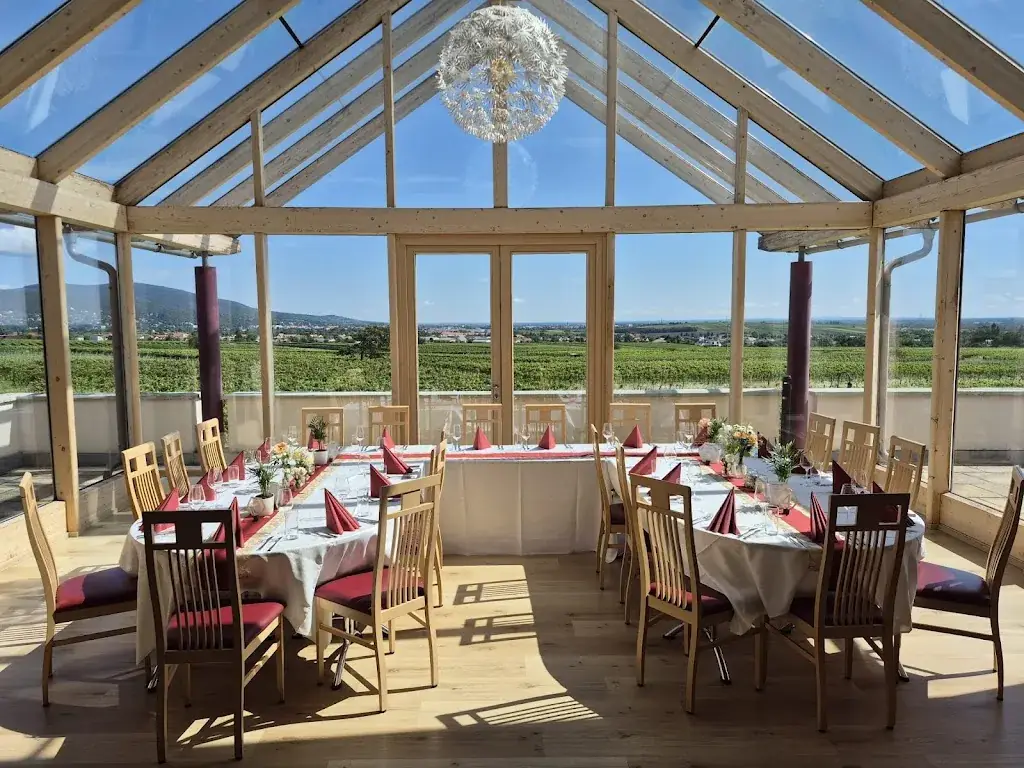 Weingut Schlossberg_Bad Vöslau_slider_image_2