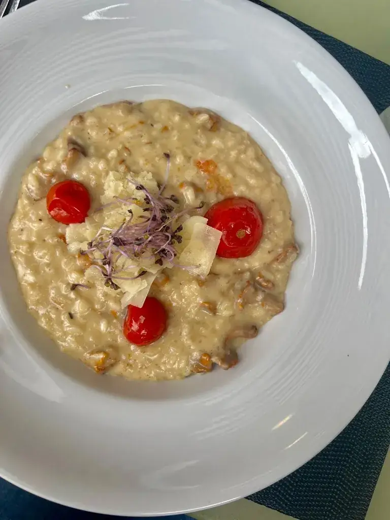 Nora Miholich_Maital Küche_Bad Vöslau_avis