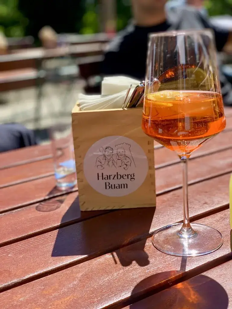 Menu_Harzberg Buam_Bad Vöslau_image_8