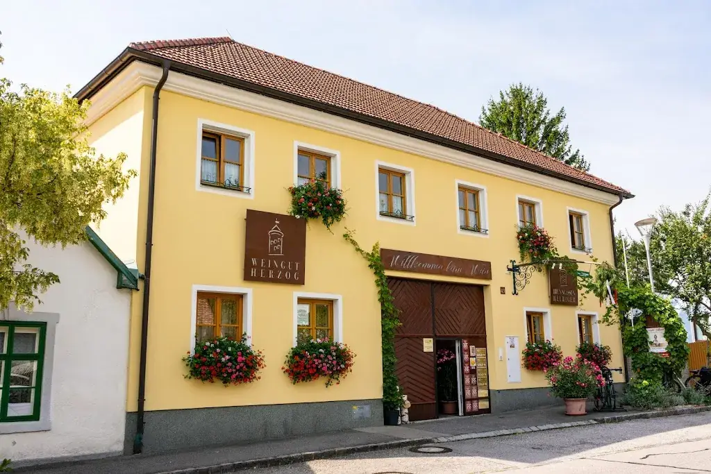 Brunngassenheuriger & Weingut HERZOG_Bad Vöslau_slider_image_2