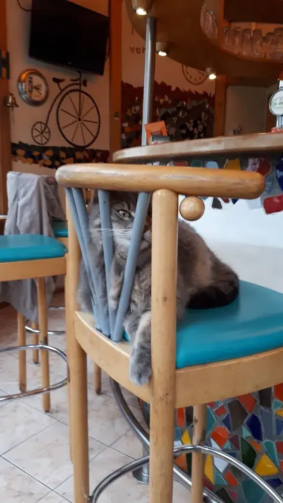 Radler Treff Bad Vöslau_Bad Vöslau_slider_image_3