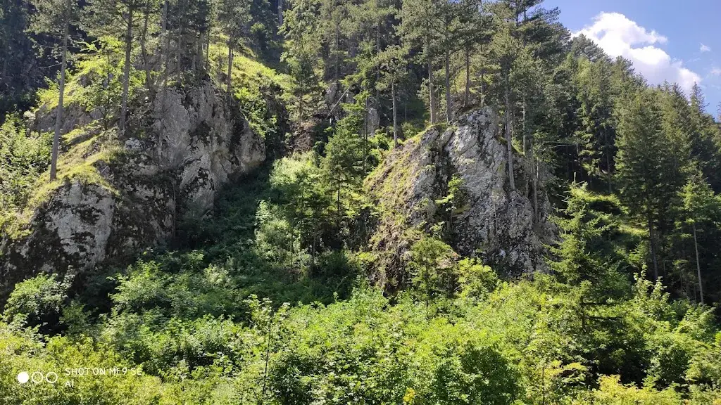 Jaroslav Jicha_Marias Land_Brunn an der Schneebergbahn_review