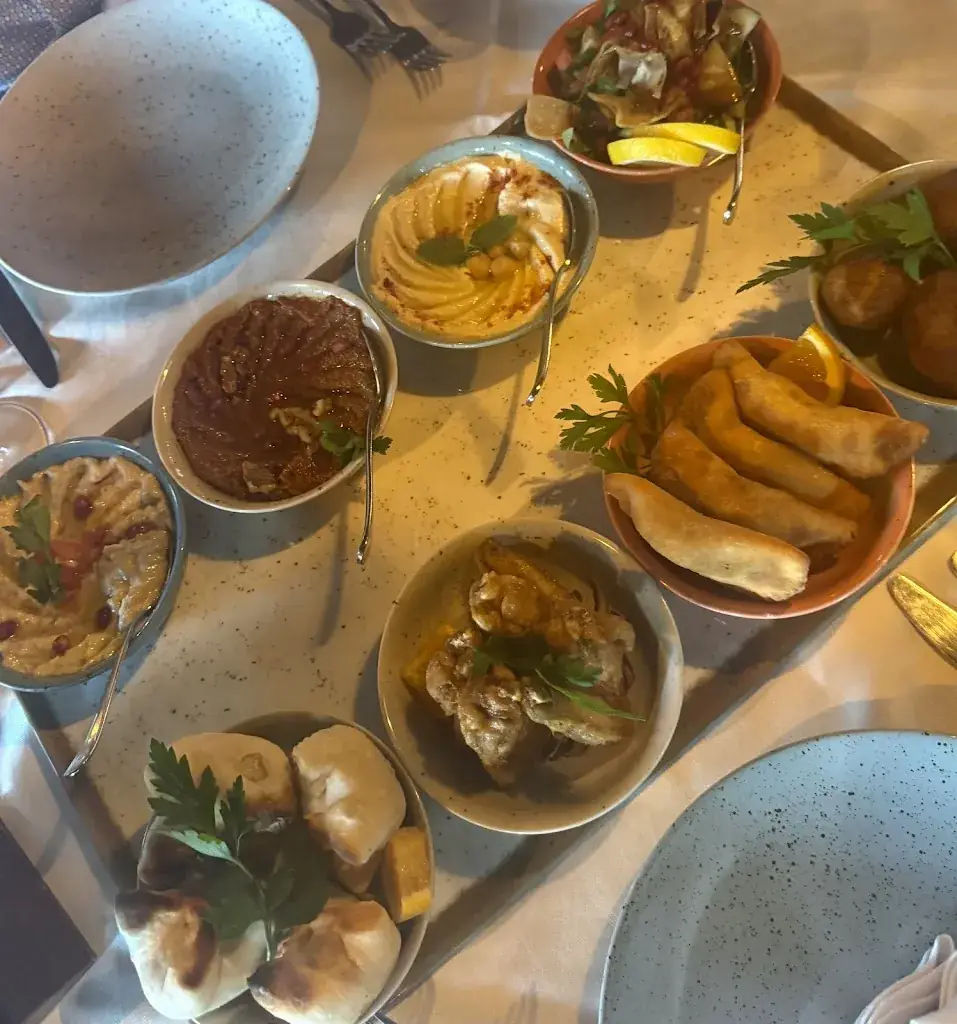 Mary Jane Kläy_Shlomo Baden - Res' Oriental_Baden_review