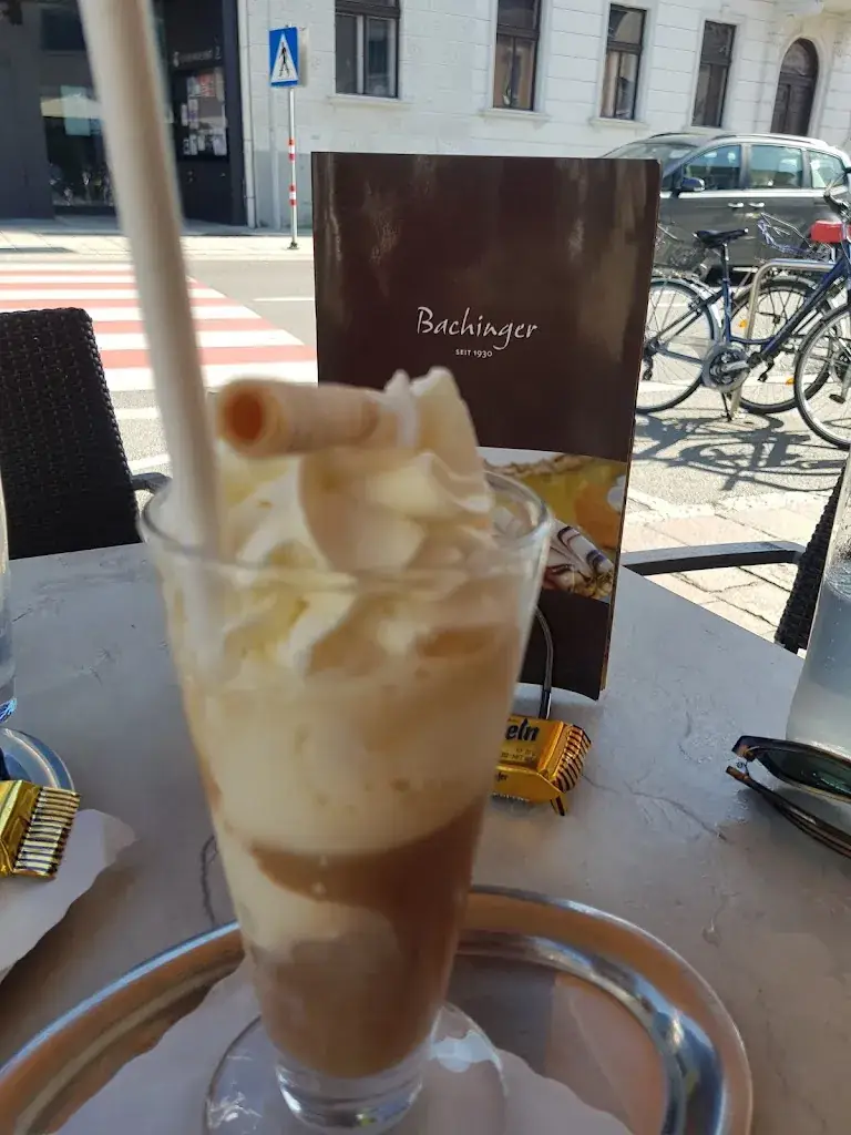 Menu_Bachinger Böheimkirchen_Böheimkirchen_image_7