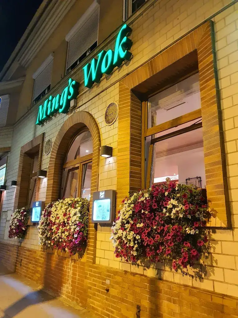 Mings Wok restaurant à Brunn am Gebirge