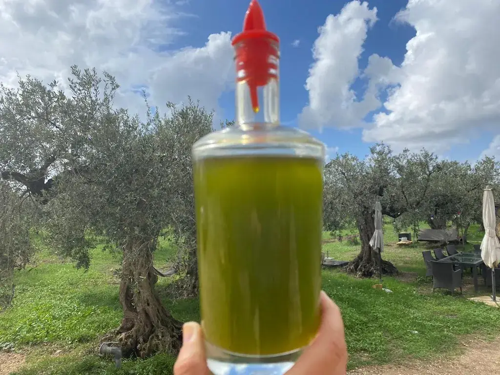 Menu_CAMPOBELLO Restaurant & Bar_Brunn am Gebirge_image_6