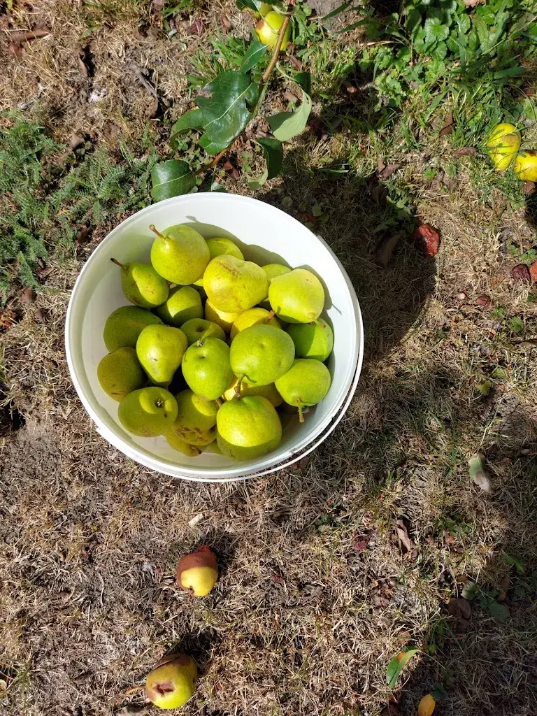 Menu_Luzija GmbH_Ebenfurth_image_7