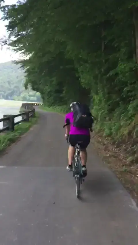 Wein im Stock_Droß_slider_image_1