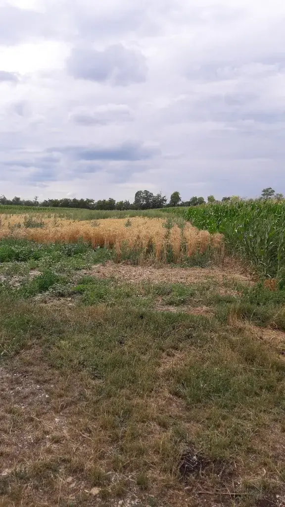 Cafe' Restaurant Eck_Eggenburg_slider_image_2