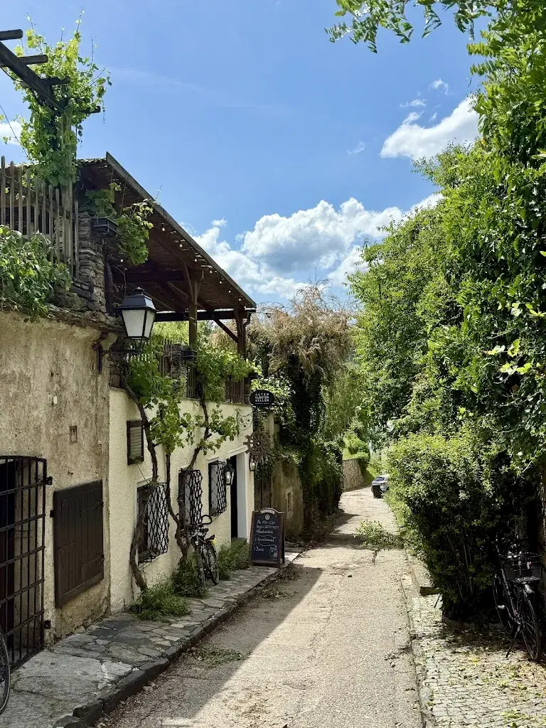 M.F. S._Alter Klosterkeller_Dürnstein_review