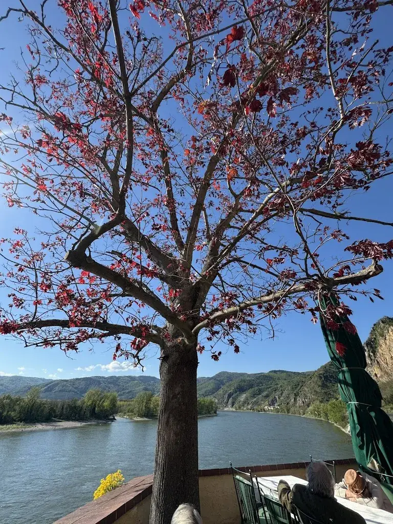 Geeta Sethi_Restaurant Schloss Dürnstein_Dürnstein_review