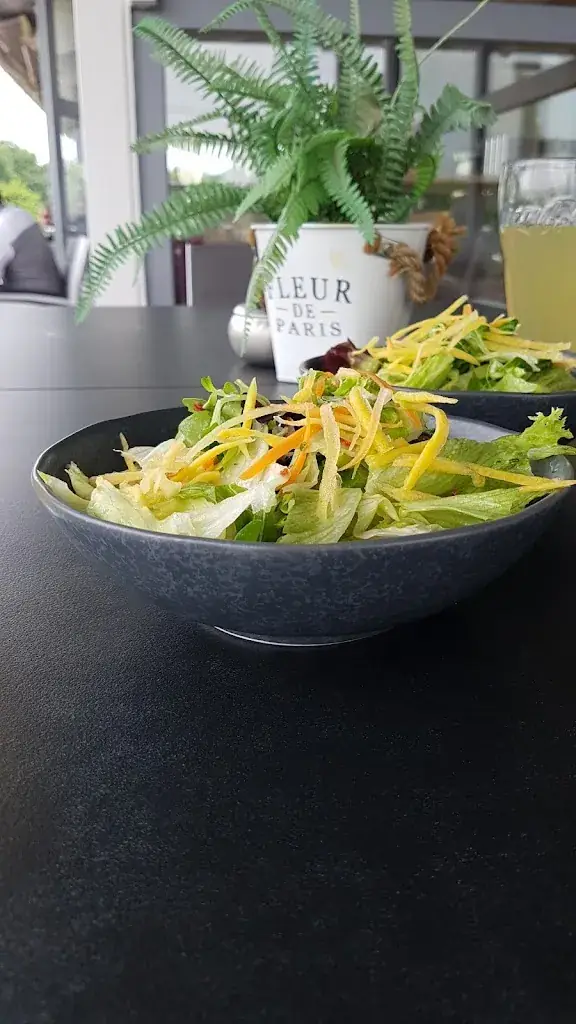 Menü_Restaurant Albatros | Ebreichsdorf | Leopoldsdorf | Achau_Ebreichsdorf_Bild_9