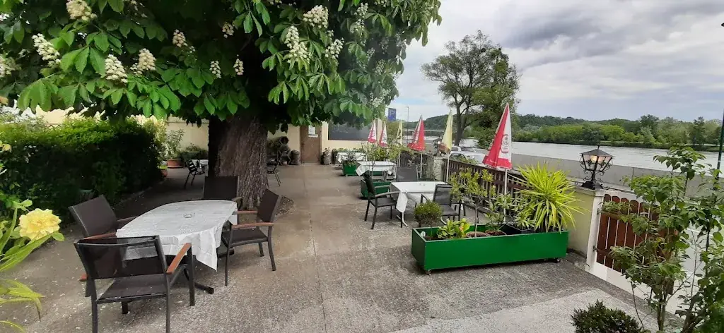 Gasthof Weidenauer restaurant in Emmersdorf an der Donau