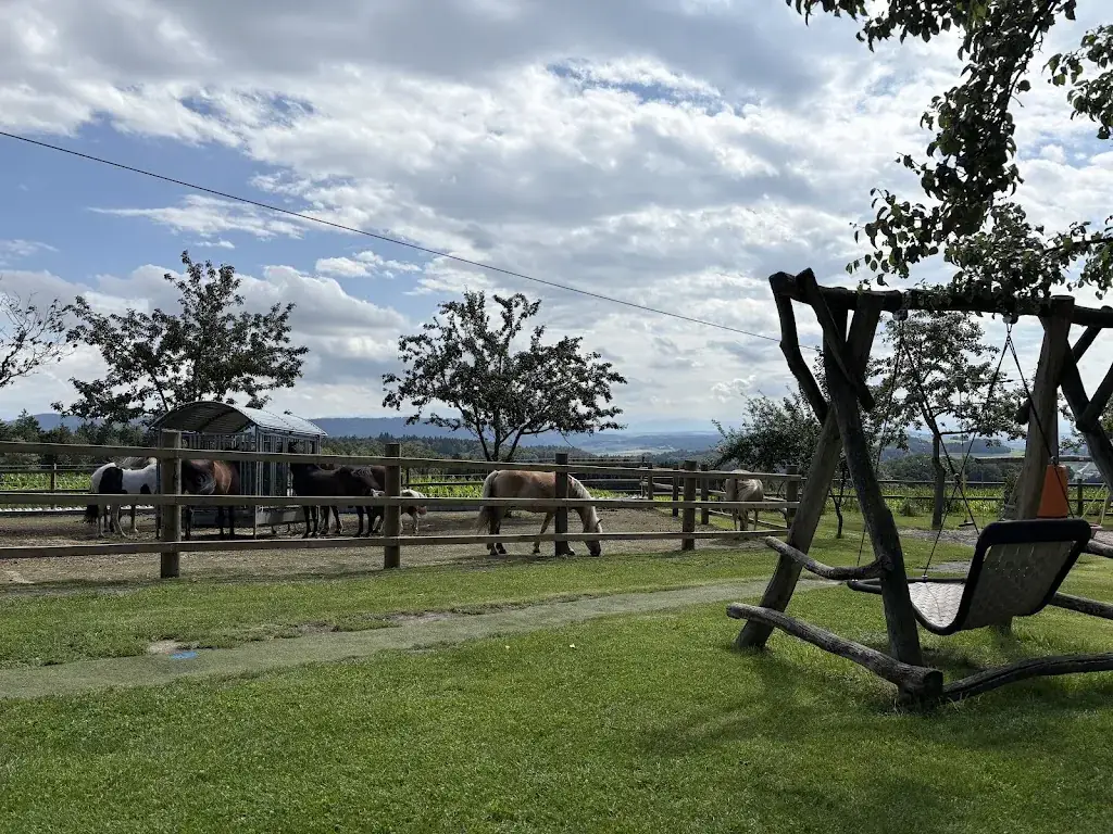 Astrid Binder_Gasthaus Langthaler_Emmersdorf an der Donau_review