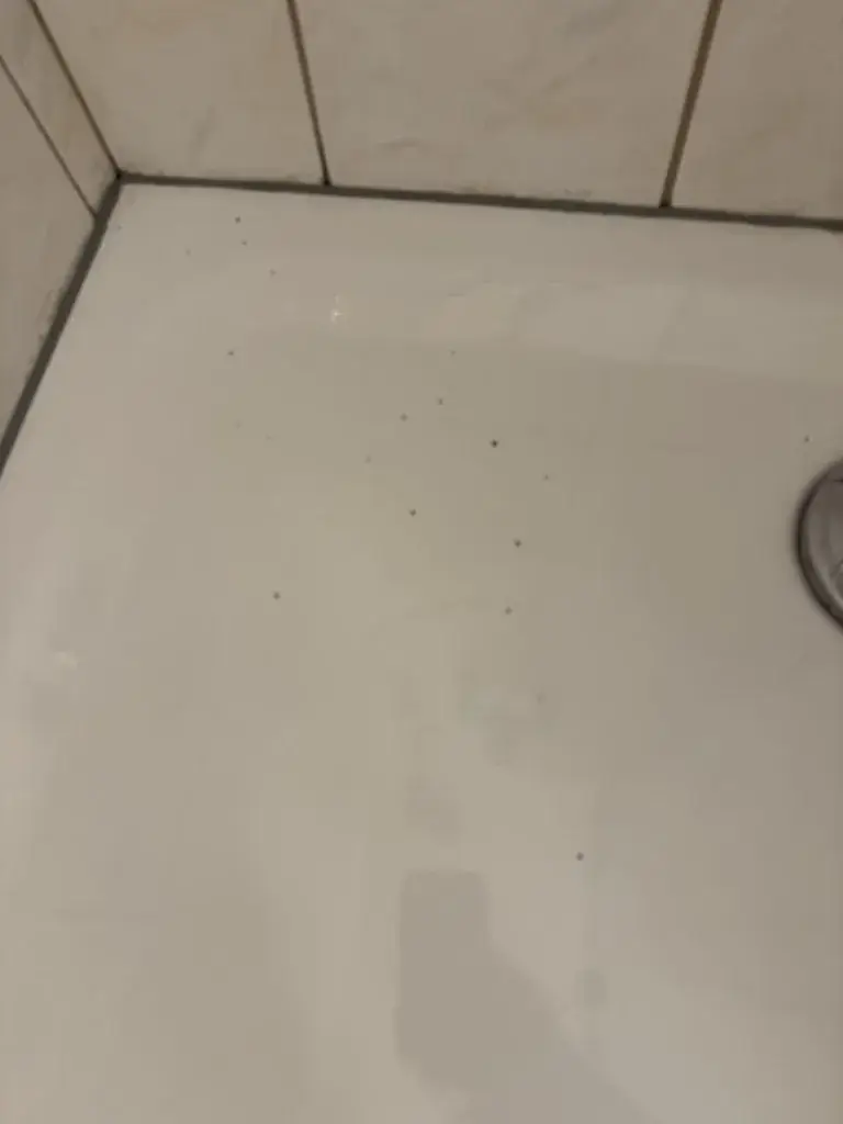 Schirni_Gasthof Rupp_Enzersdorf an der Fischa_avis