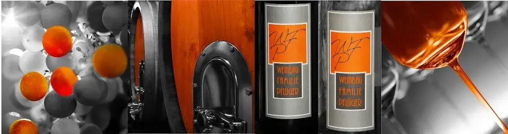 Heuriger Weinbau Pflüger_Enzersdorf an der Fischa_slider_image_3