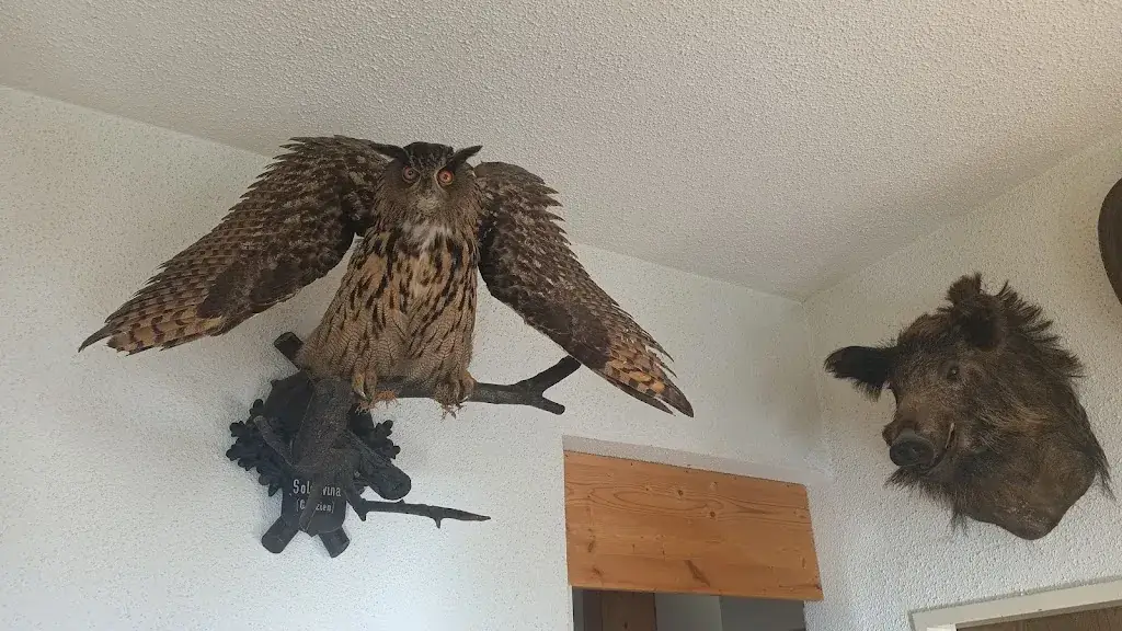 Gi Pi_Onkel Willis Heuriger_Enzersdorf an der Fischa_review