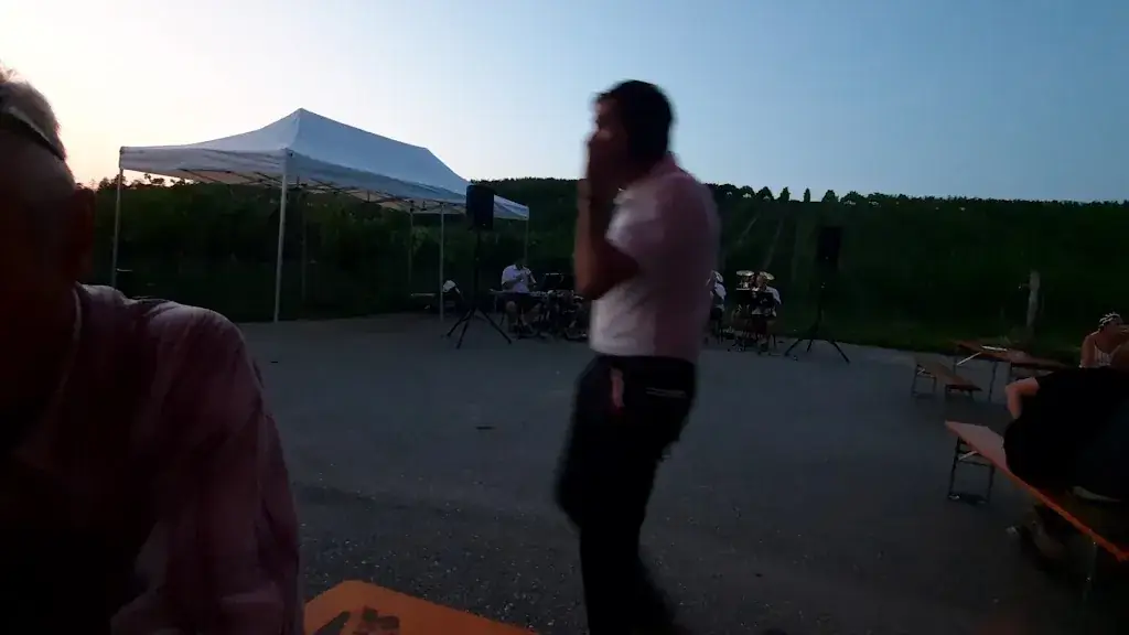 Onkel Willis Heuriger_Enzersdorf an der Fischa_slider_image_2